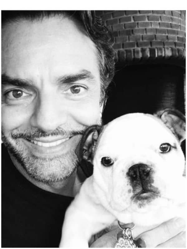 eugenio derbez perro2