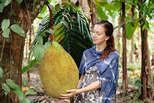 Jackfruit: la fruta más grande del mundo es superalimento