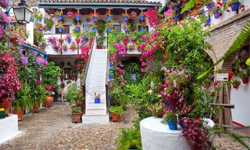 festival de los patios de c rdoba en el mes de mayo andalucia