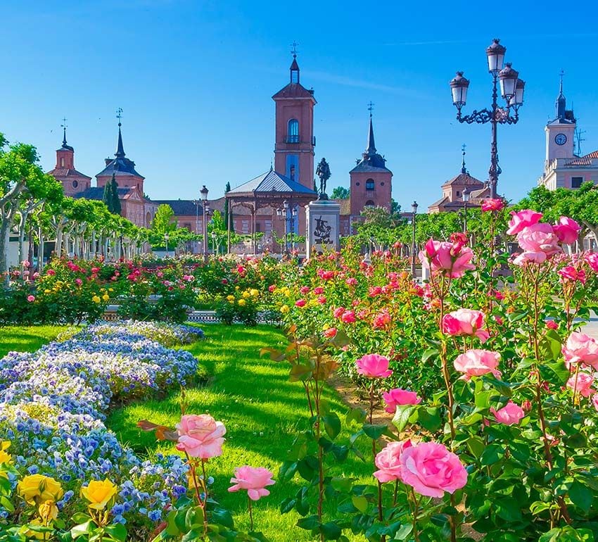 alcala-henares-plaza