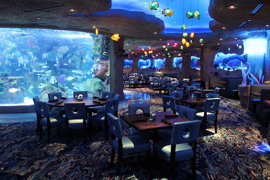 Aquarium Restaurant Nashville tennessee eeuu