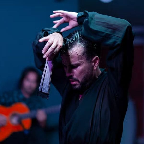 Espectáculo flamenco en Alegría Civitatis