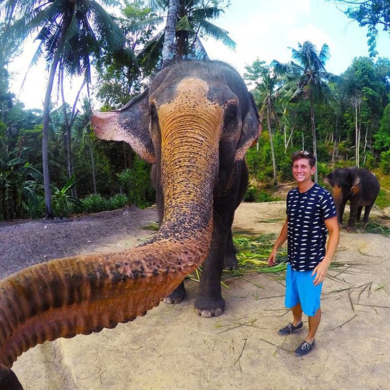 selfie elefante 