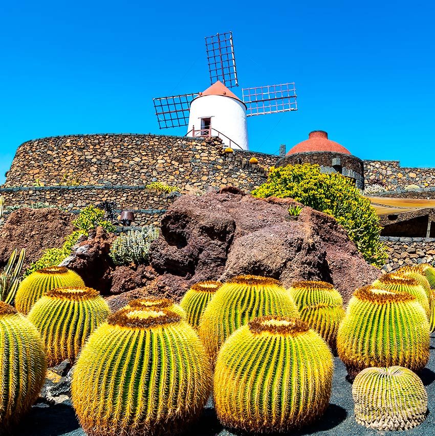 lanzarote jardin cactus