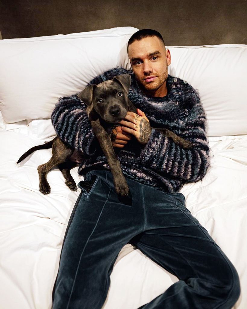 Liam Payne y su perro 'Stan'