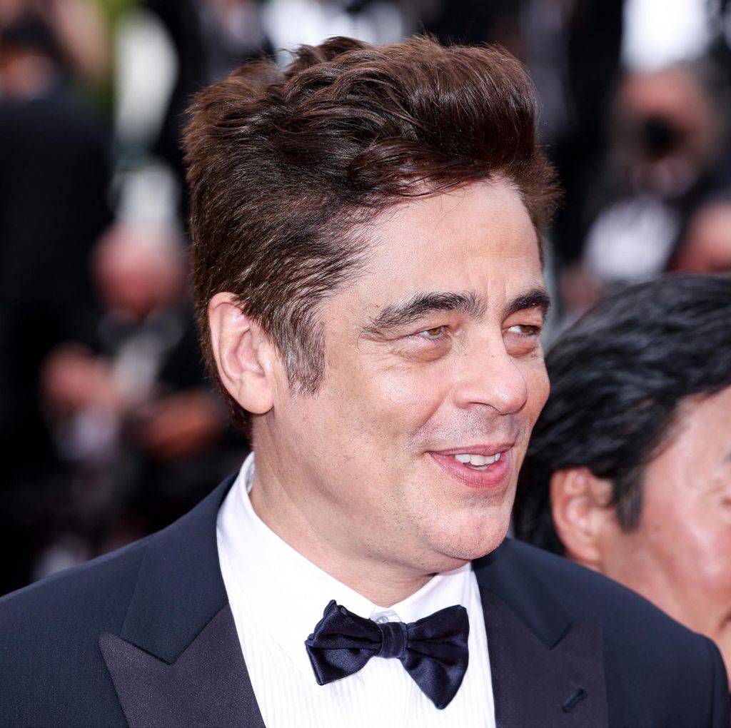 Benicio del Toro