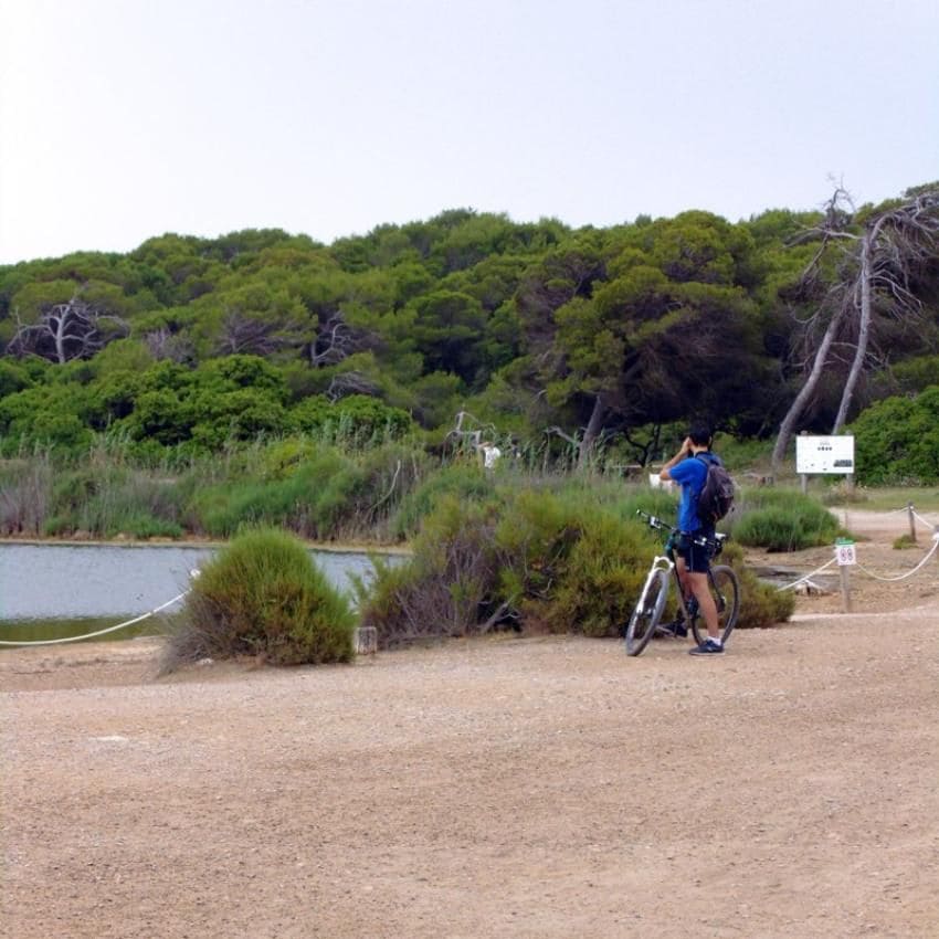 Paseo en bici por el lago del Pujol.