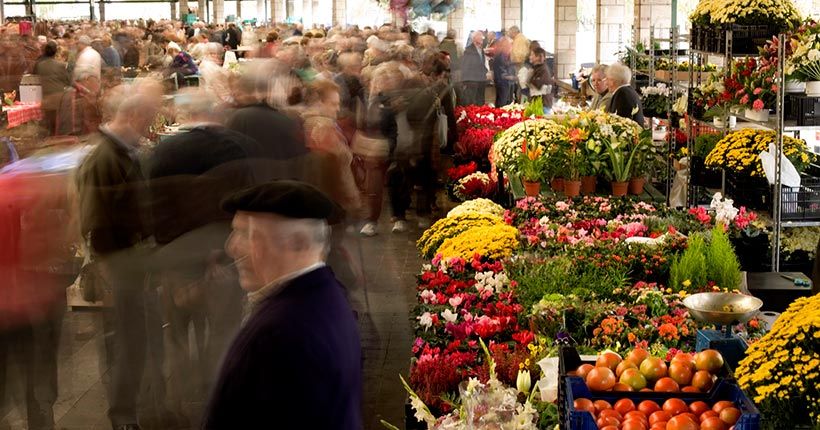 Gernika-Mercado-puesto-de-flores-en-la-plaza