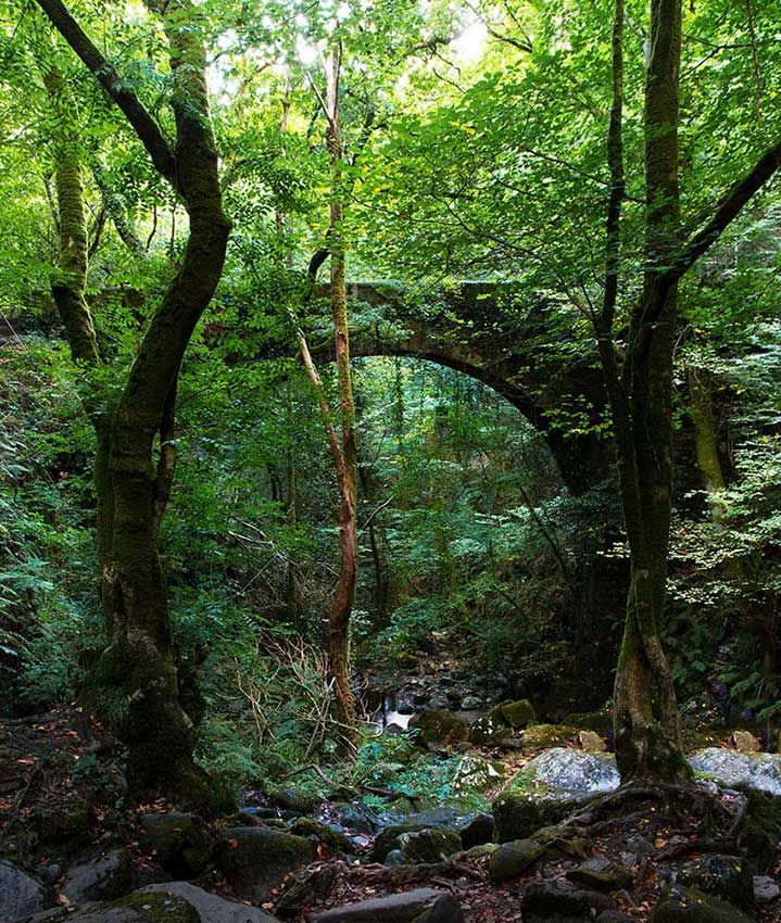 Fragas do Eume galicia