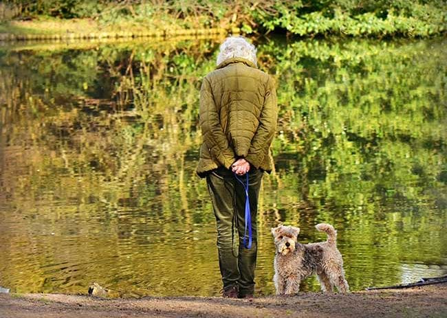 Como una mascota puede mejorar la vida de las personas mayores