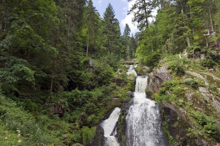 alemania-selva-negra