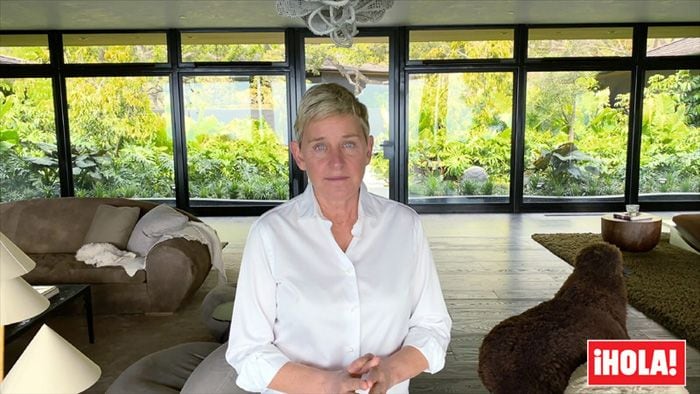 Ellen DeGeneres 