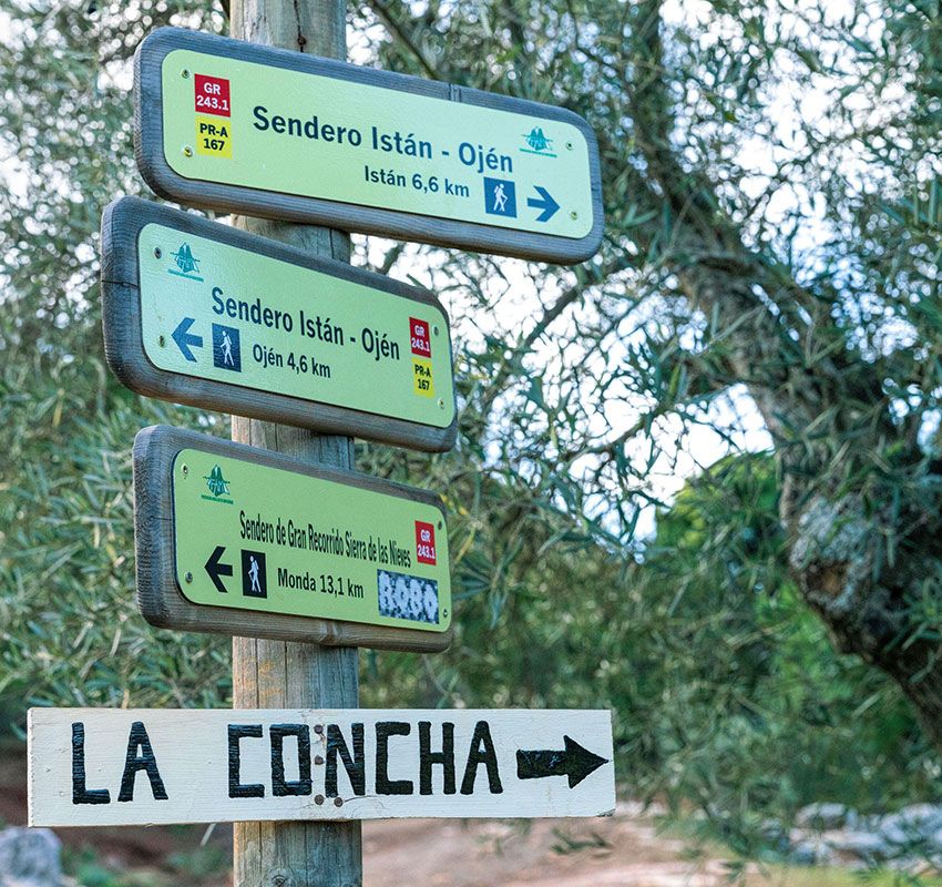 Senderismo Parque Nacional de las Nieves, Málaga