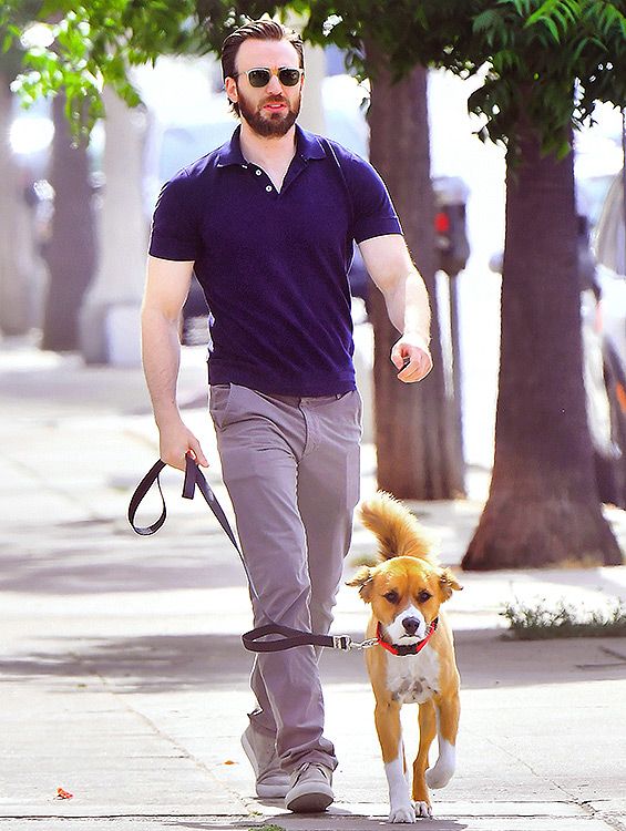 Chris Evans