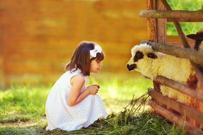 niña con oveja