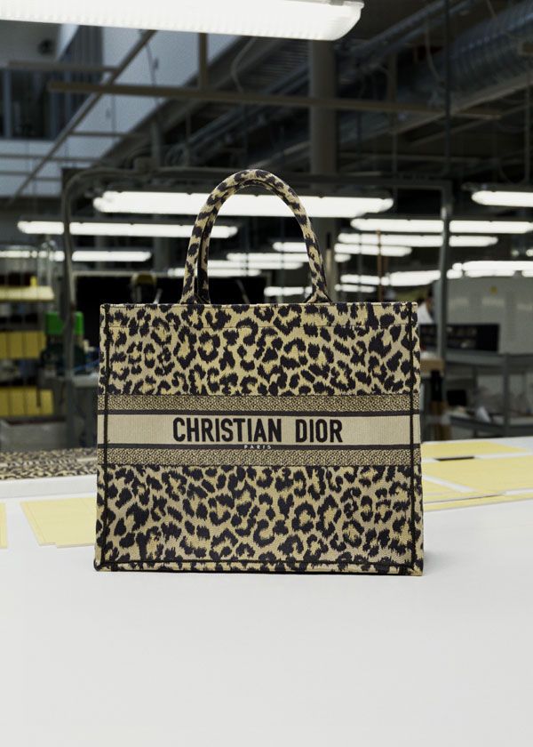 dior bolso