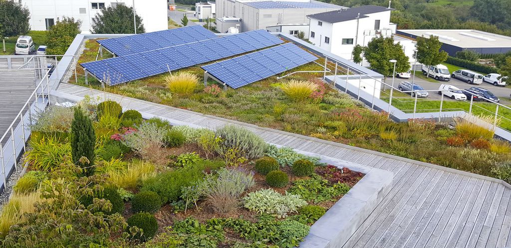 Cubierta biosolar y acceso, aparte zona de solo techo verde