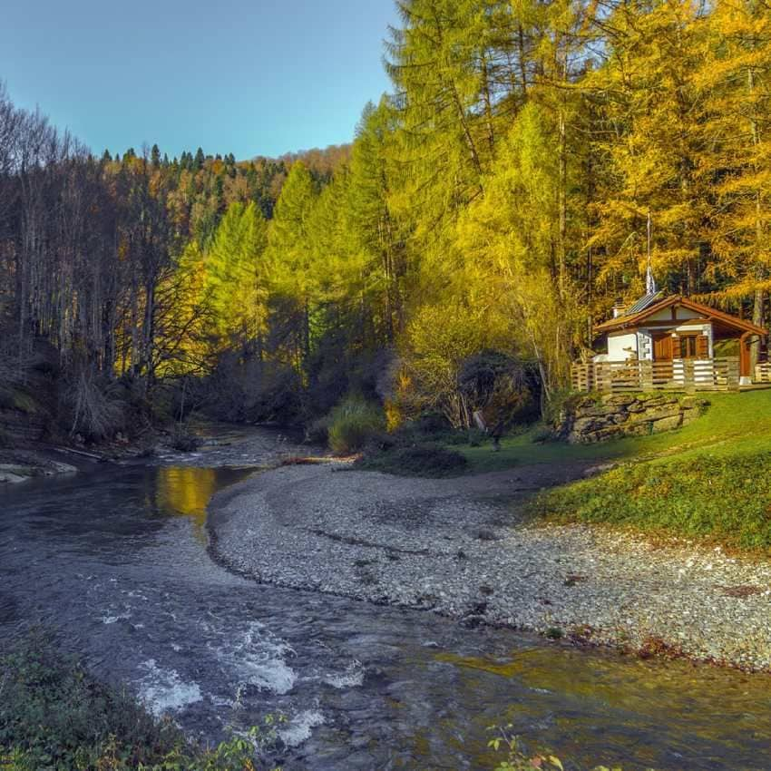 la selva de irati navarra