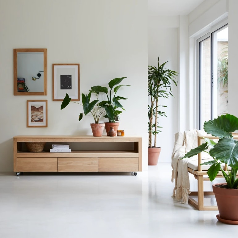 Casa con plantas