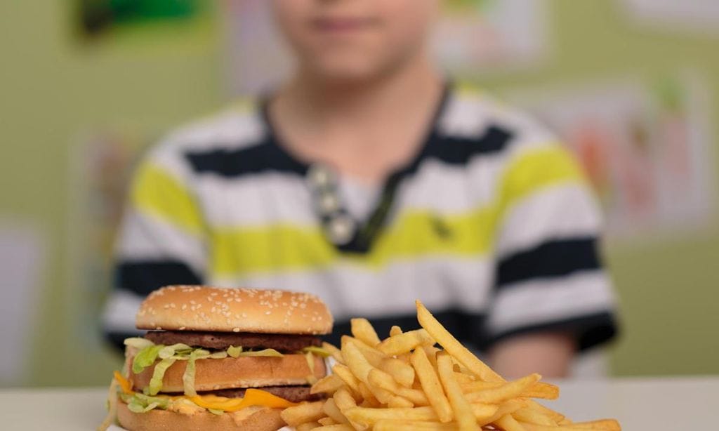 ni o con hamburguesa y patatas fritas en la mesa