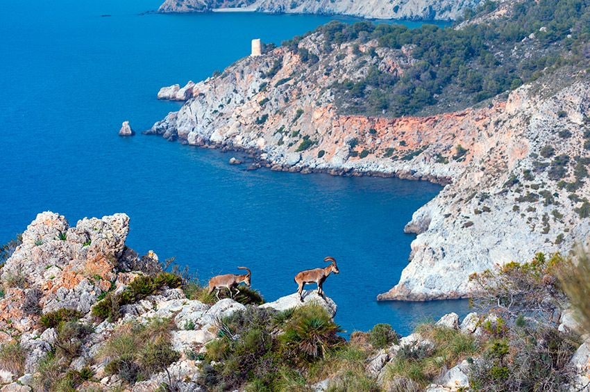 Acantilados de Maro-Cerro Gordo en Málaga