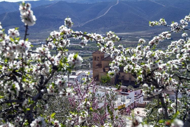 almería-alpujarras