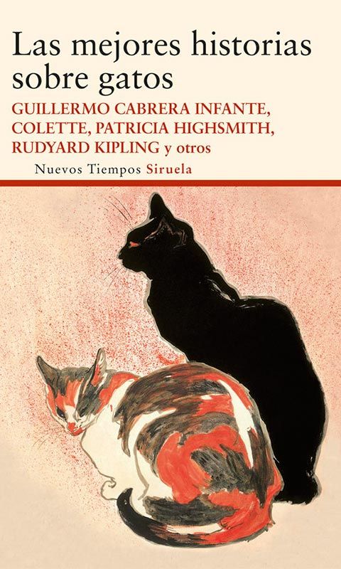 libro mascotas las mejores historias sobre gatos