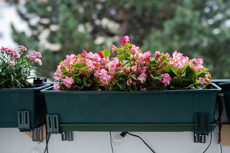 plantas exterior balcon 08a