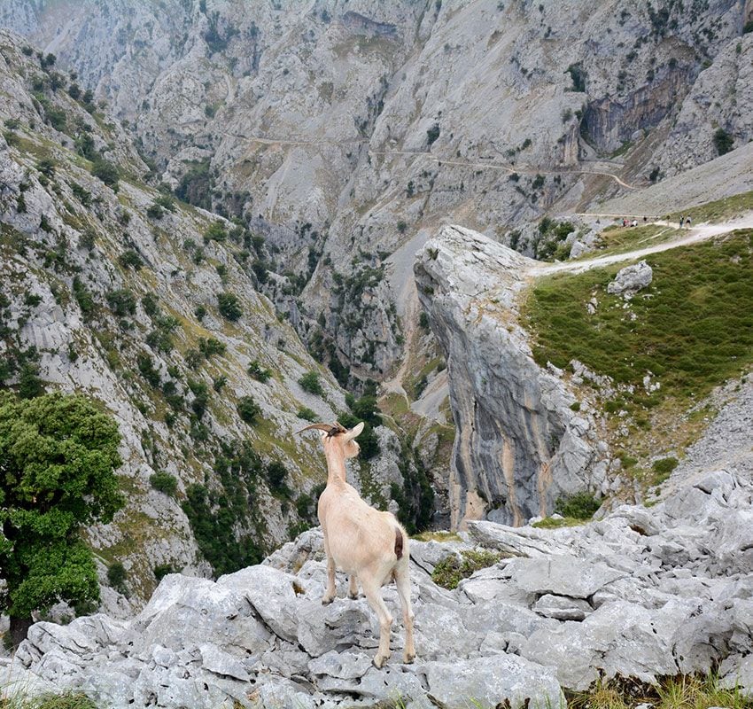 Ruta del Cares, Valle de Valdeón, Leon, Asturias