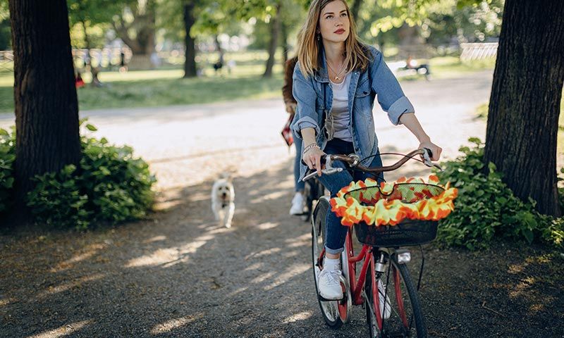 ejercicio y deportes que puedes hacer con tu perro 3