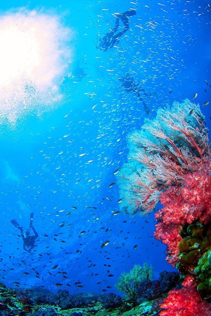 Isla Gorgona, Colombia