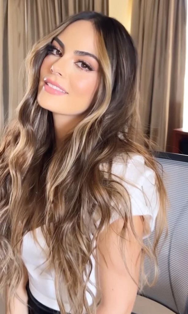 La exreina de belleza mexicana, Ximena Navarrete