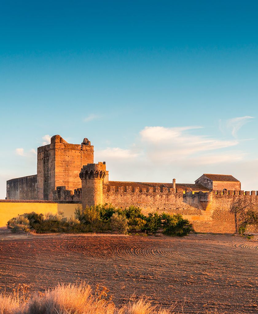 castillo alcala guadaira 1a