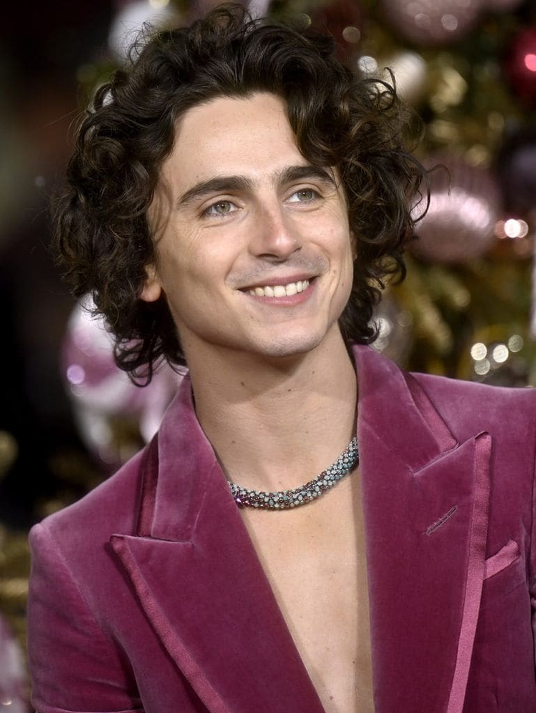 timothee chalamet5