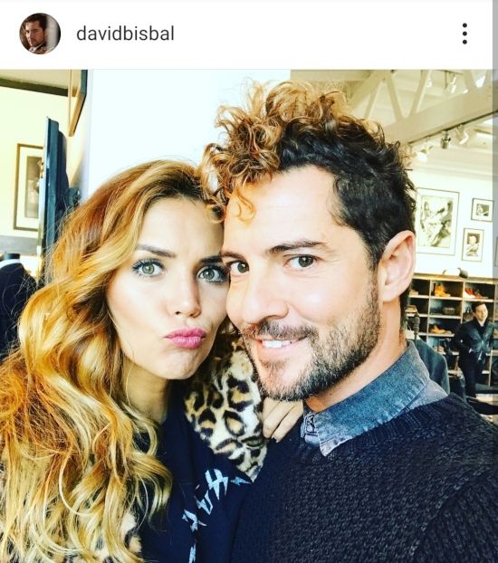 david-bisbal-rosanna