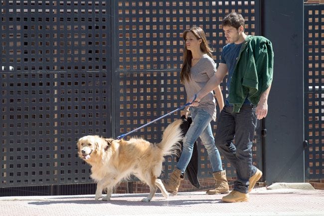 Sara Carbonero Iker Casillas y su perro Doce en Madrid