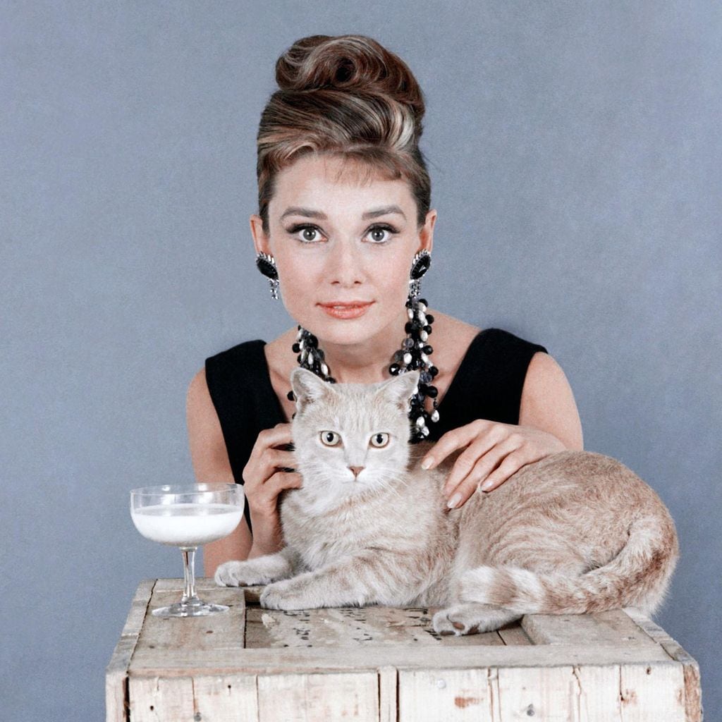 Audrey Hepburn FASHION125