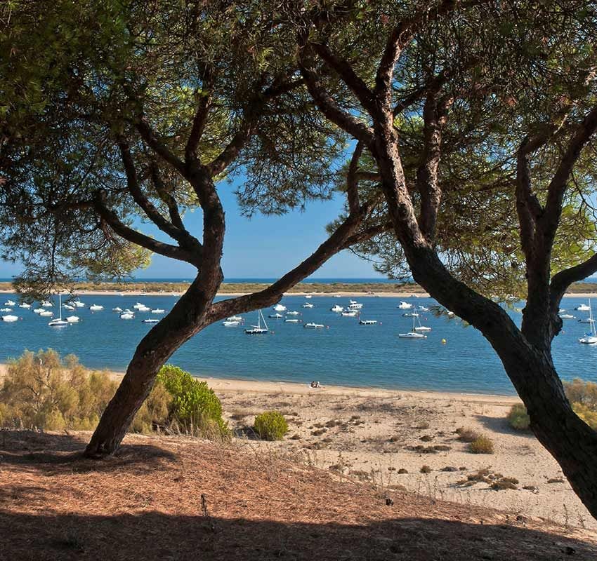 Playas de La Flecha de El Rompido, Huelva