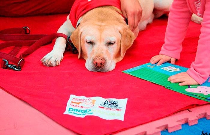 perros-terapia-lectura