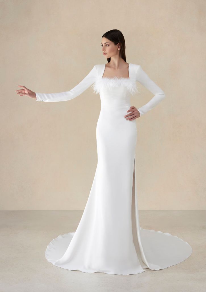 pronovias 113a