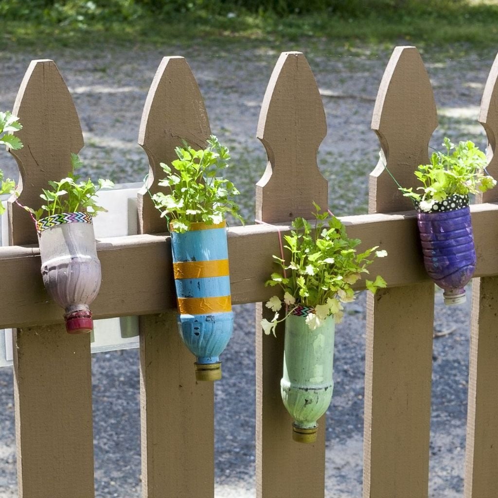 botellas macetero para plantas