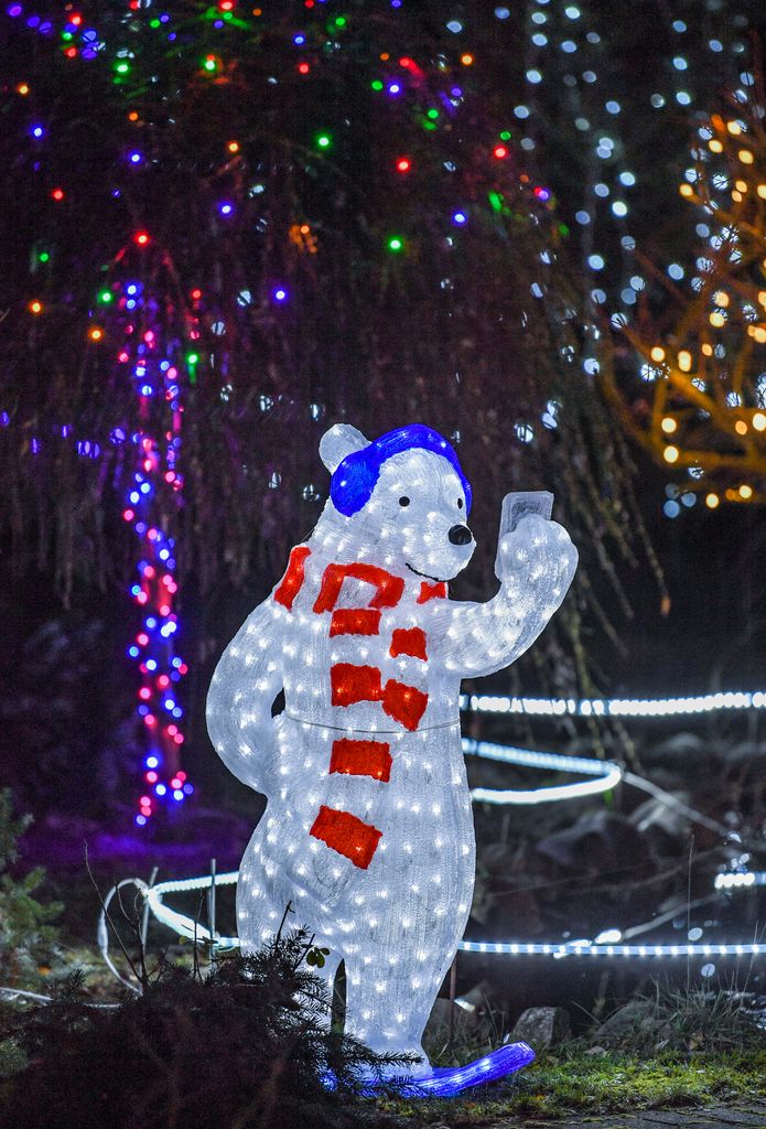 Animales y Navidad: El misterio de los renos y otros animales navideños