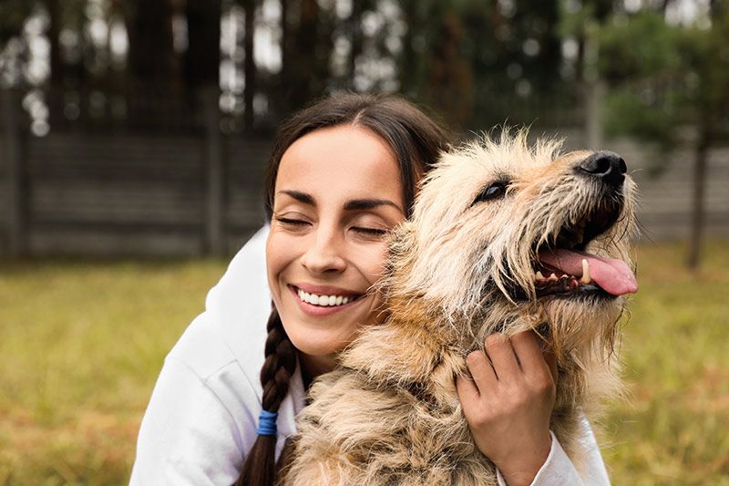 04 gestos perro expresan necesidades