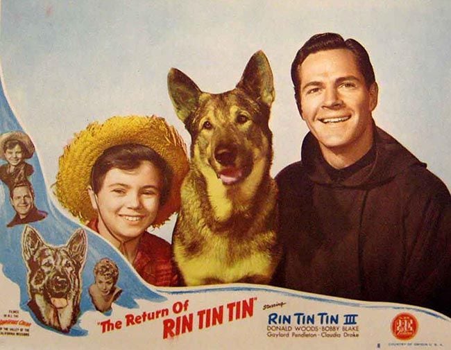 Las aventuras de Rin tin tin