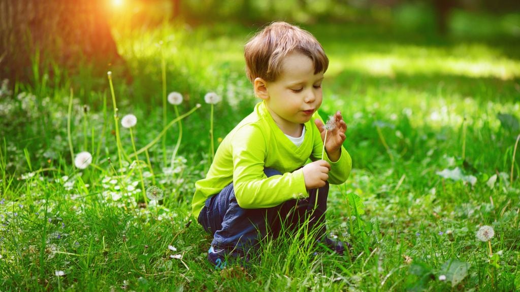 Niño soplando una planta