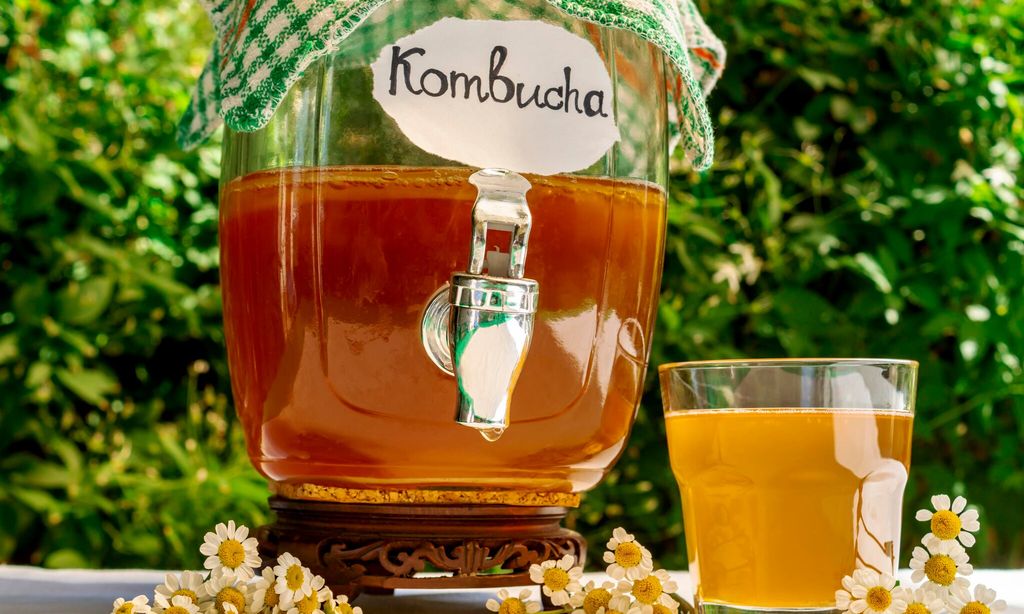 Refrescante té de kombucha con una manzanilla en botella y vidrio vintage antiguo, con una etiqueta con la palabra kombucha escrita