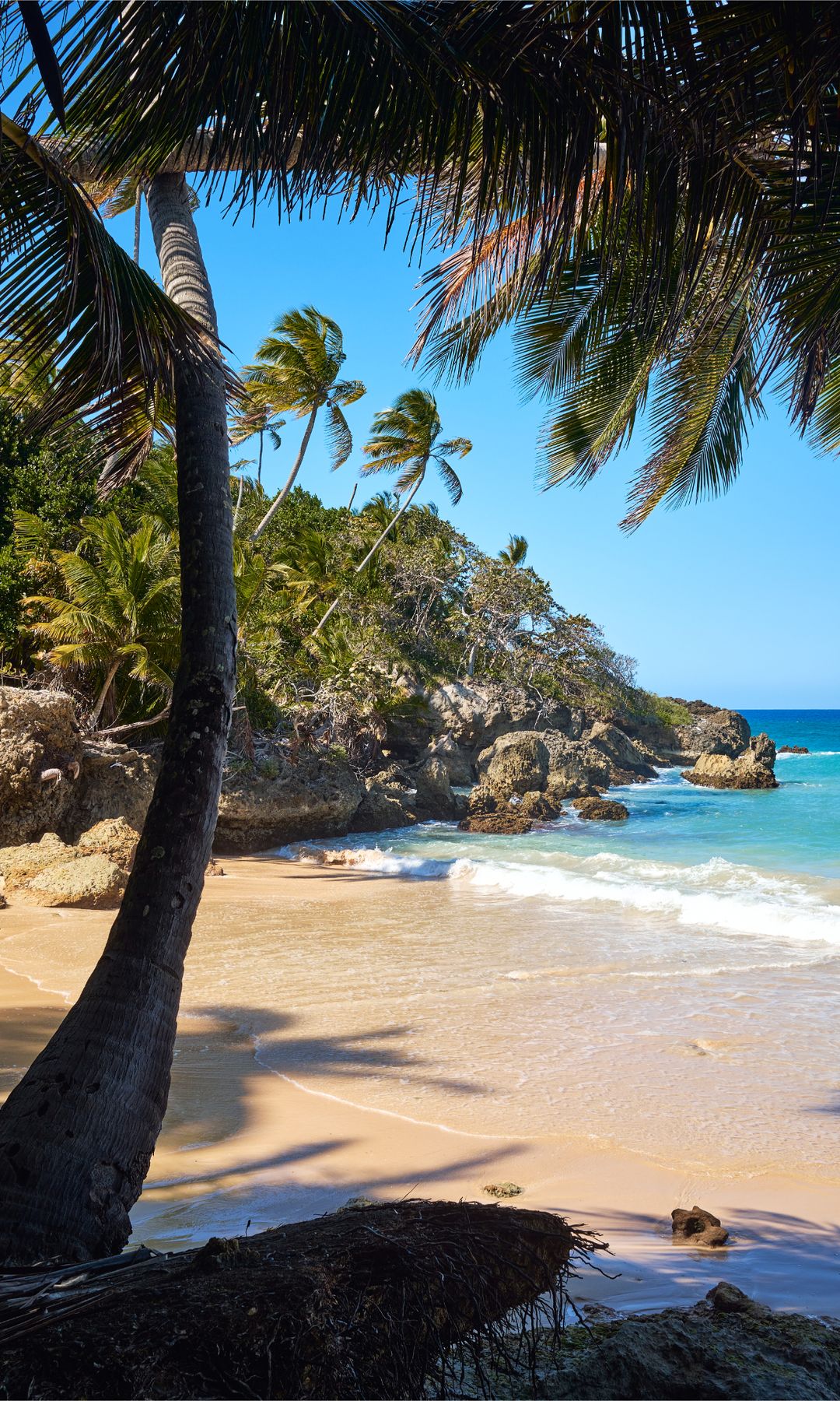 Playa Preciosa en Río San Juan, una de las zonas de playas más espectaculares del Caribe dominicano