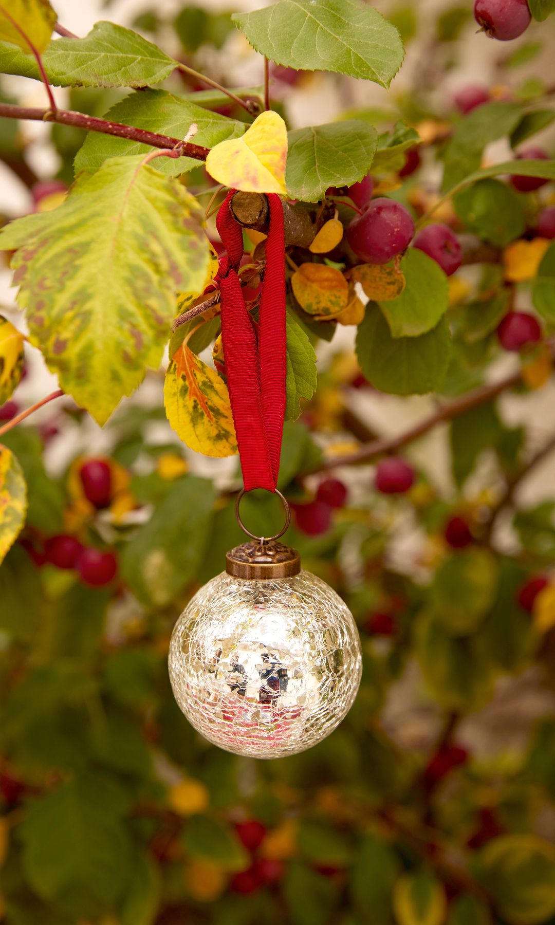 Detalle de una bola de Navidad