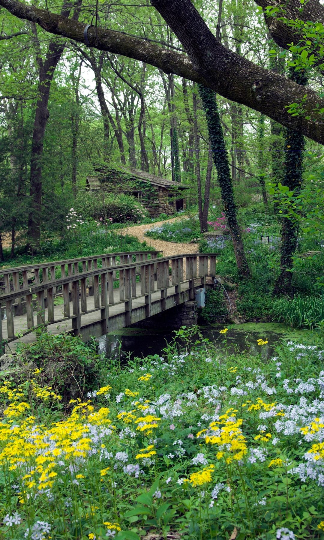 Jardines Cheekwood Botanical Gardens, en Nashville, Tennessee 