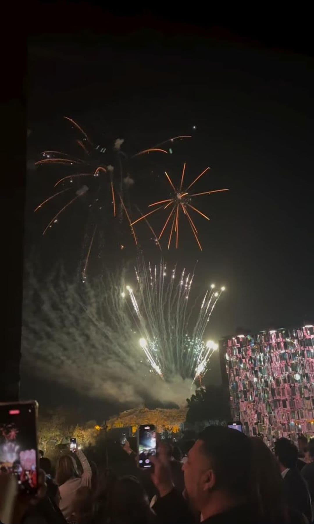 Fuegos artificiales en la boda de los amigos de Gabriela Palatchi